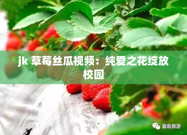jk 草莓丝瓜视频：纯爱之花绽放校园