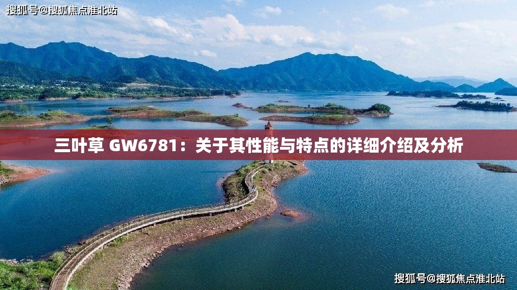 三叶草 GW6781：关于其性能与特点的详细介绍及分析