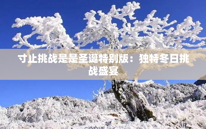 寸止挑战是是圣诞特别版：独特冬日挑战盛宴