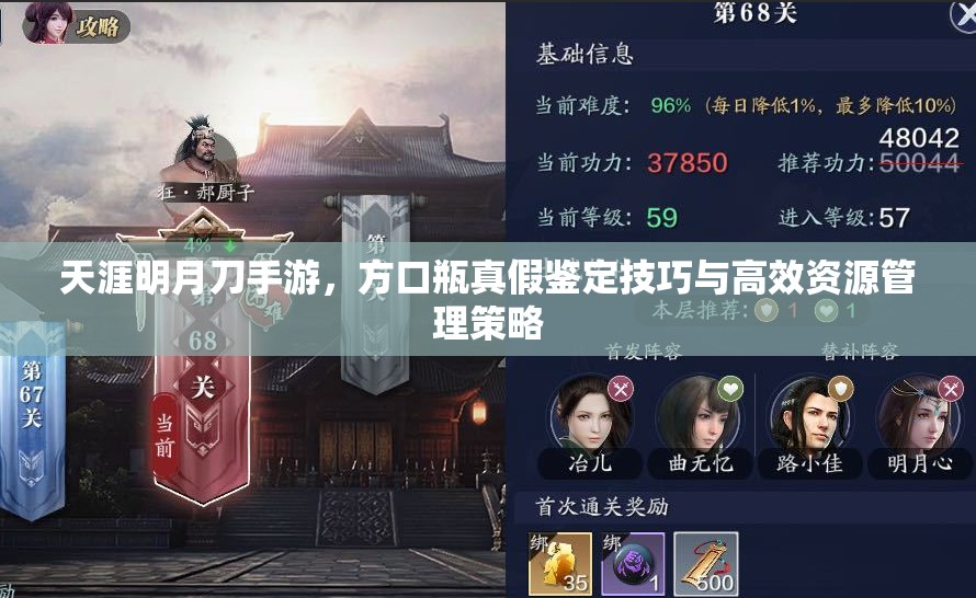 天涯明月刀手游，方口瓶真假鉴定技巧与高效资源管理策略