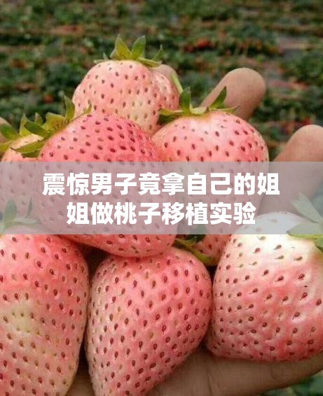 震惊男子竟拿自己的姐姐做桃子移植实验