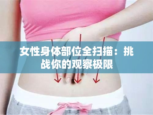 女性身体部位全扫描：挑战你的观察极限