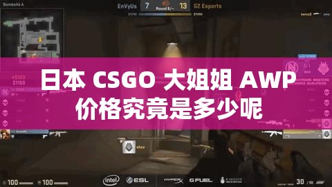 日本 CSGO 大姐姐 AWP 价格究竟是多少呢