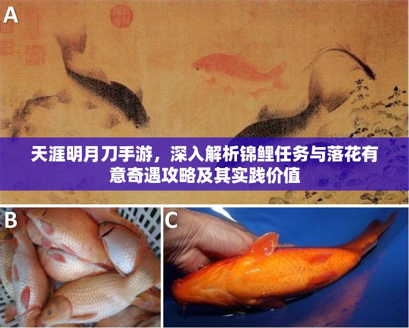 天涯明月刀手游，深入解析锦鲤任务与落花有意奇遇攻略及其实践价值