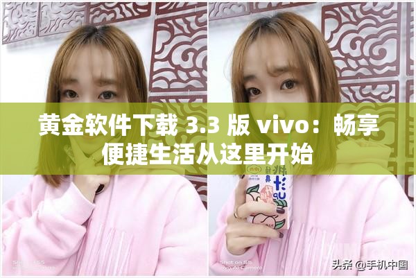 黄金软件下载 3.3 版 vivo：畅享便捷生活从这里开始
