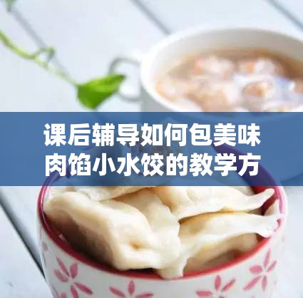 课后辅导如何包美味肉馅小水饺的教学方法及步骤