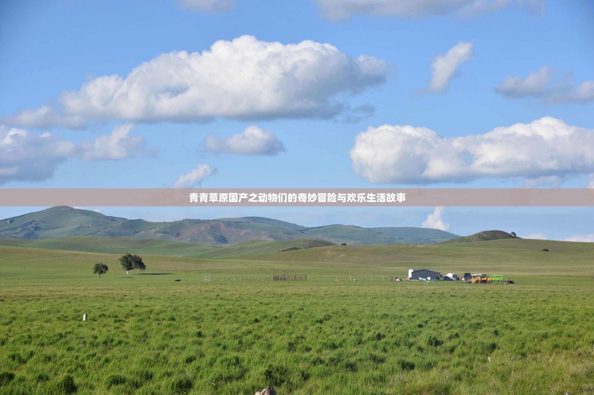 青青草原国产之动物们的奇妙冒险与欢乐生活故事