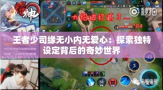 王者少司缘无小内无爱心：探索独特设定背后的奇妙世界