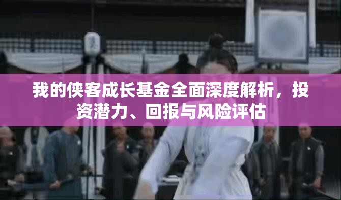 我的侠客成长基金全面深度解析，投资潜力、回报与风险评估