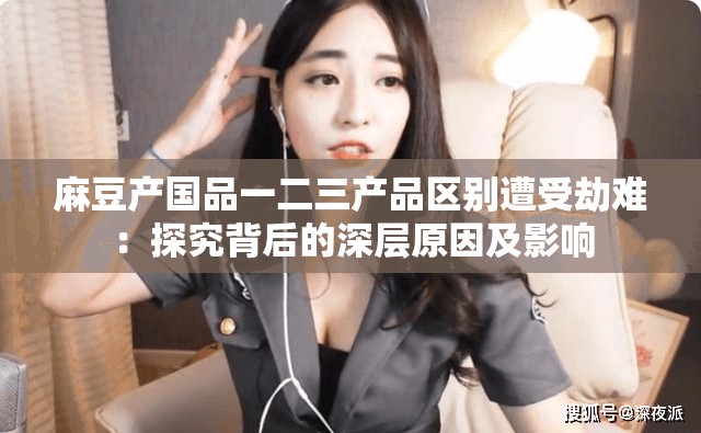 麻豆产国品一二三产品区别遭受劫难：探究背后的深层原因及影响