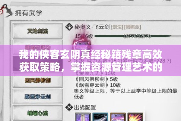 我的侠客玄阴真经秘籍残章高效获取策略，掌握资源管理艺术的关键指南