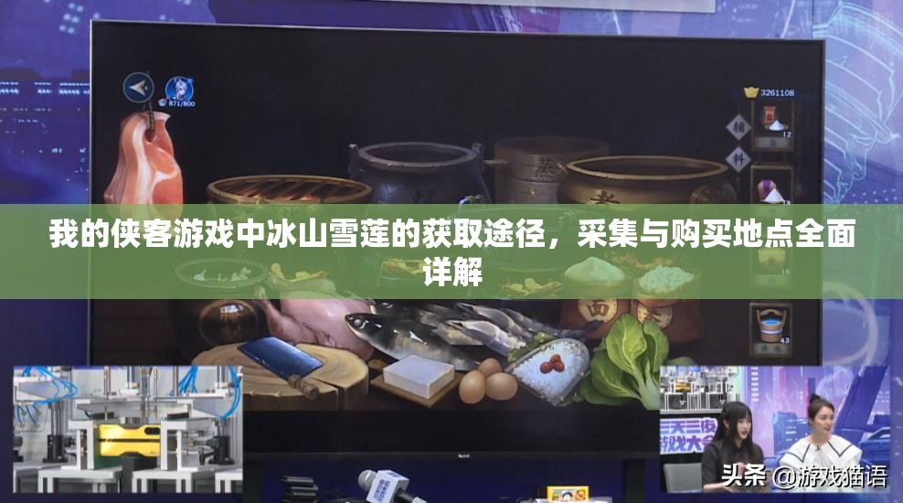 我的侠客游戏中冰山雪莲的获取途径，采集与购买地点全面详解