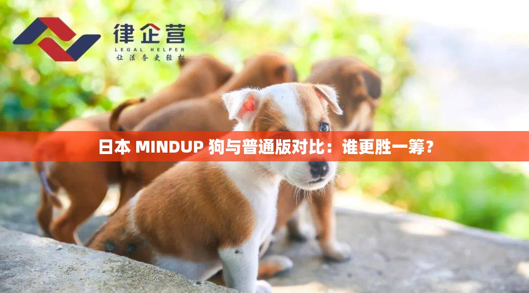 日本 MINDUP 狗与普通版对比：谁更胜一筹？