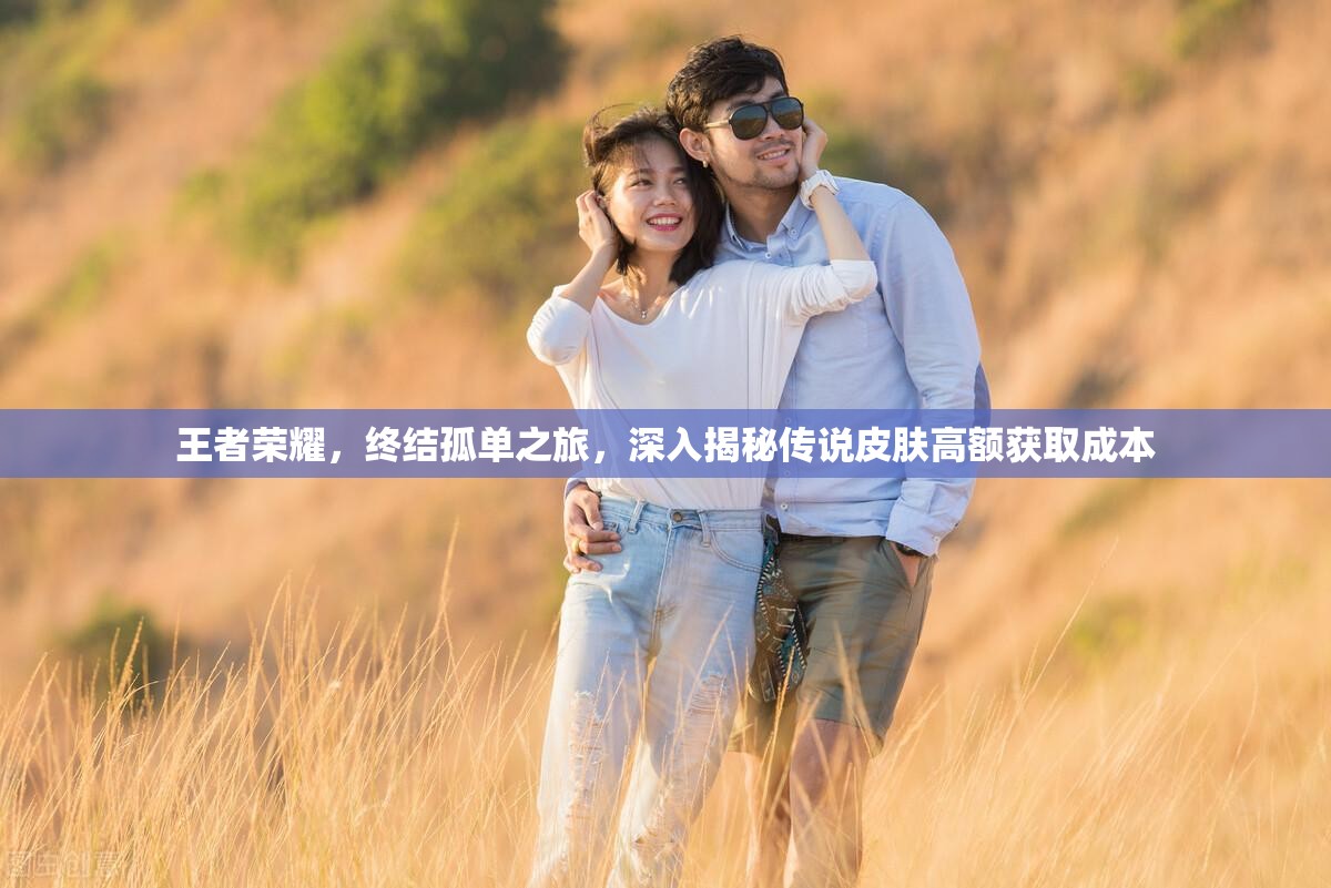 王者荣耀，终结孤单之旅，深入揭秘传说皮肤高额获取成本