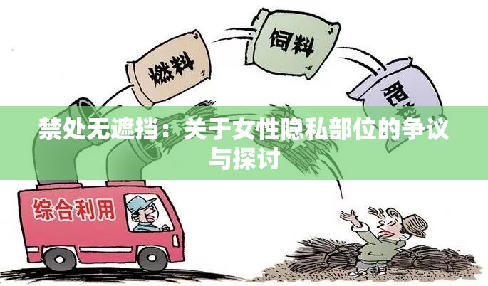禁处无遮挡：关于女性隐私部位的争议与探讨