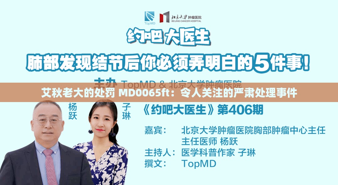 艾秋老大的处罚 MD0065ft：令人关注的严肃处理事件