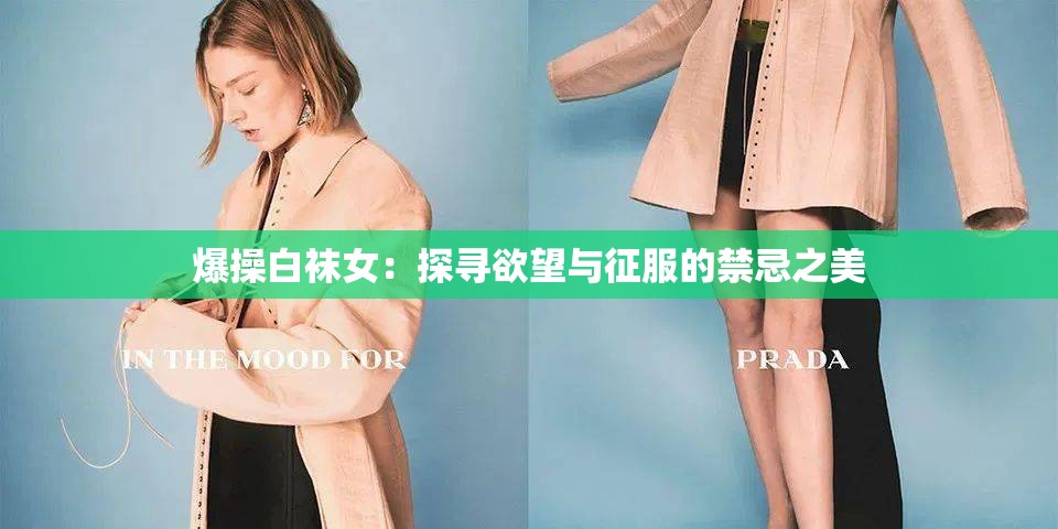 爆操白袜女：探寻欲望与征服的禁忌之美