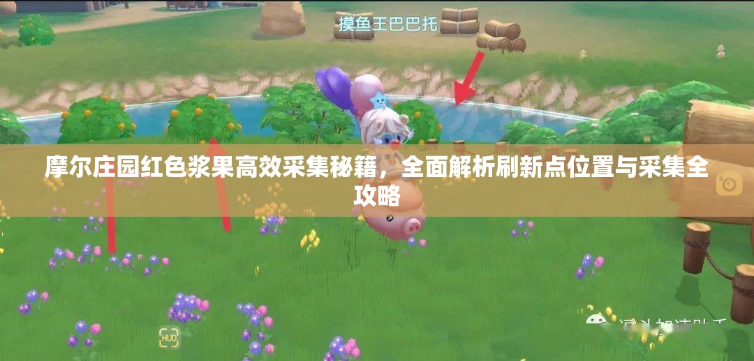 摩尔庄园红色浆果高效采集秘籍，全面解析刷新点位置与采集全攻略