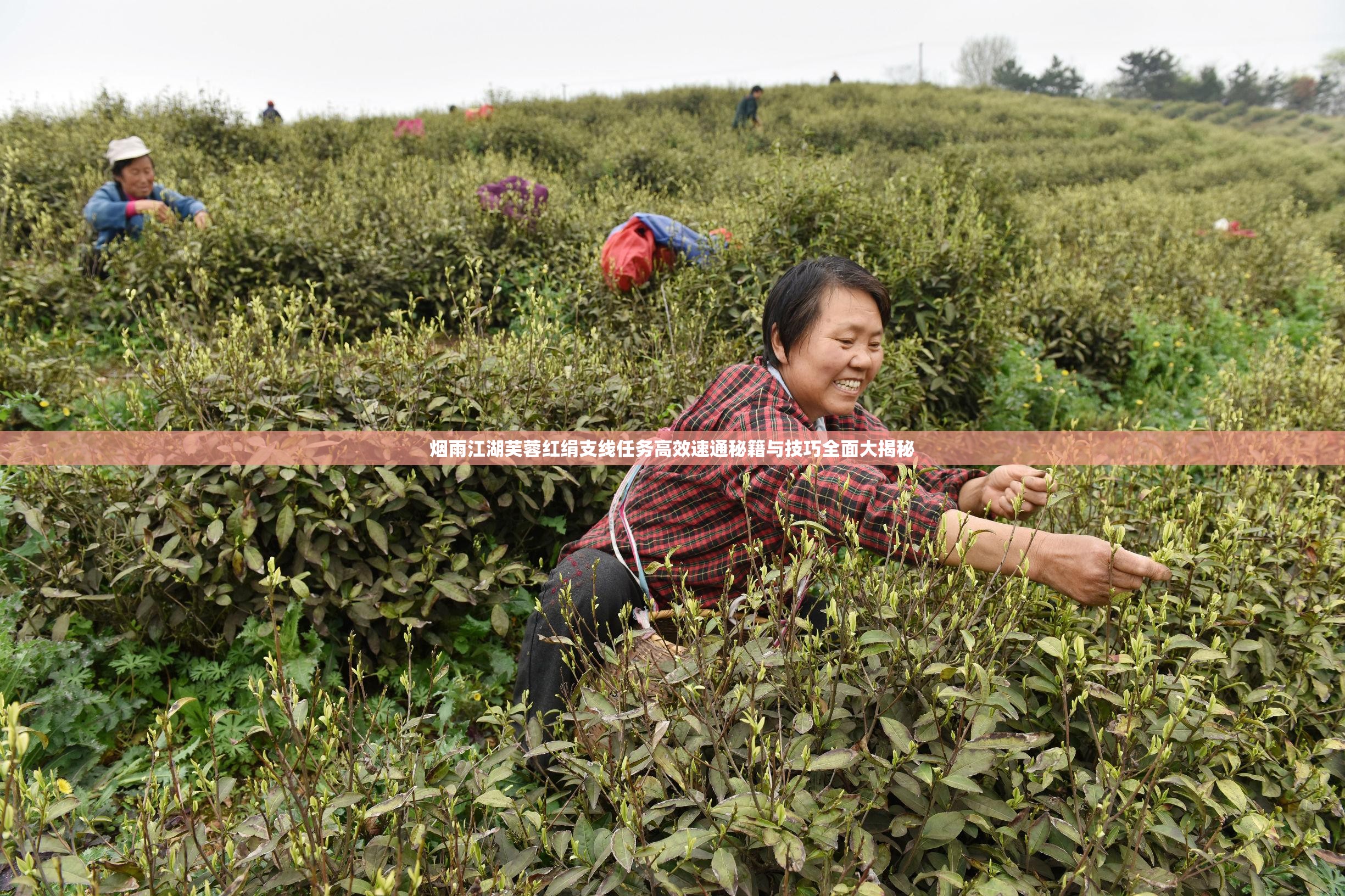 烟雨江湖芙蓉红绢支线任务高效速通秘籍与技巧全面大揭秘