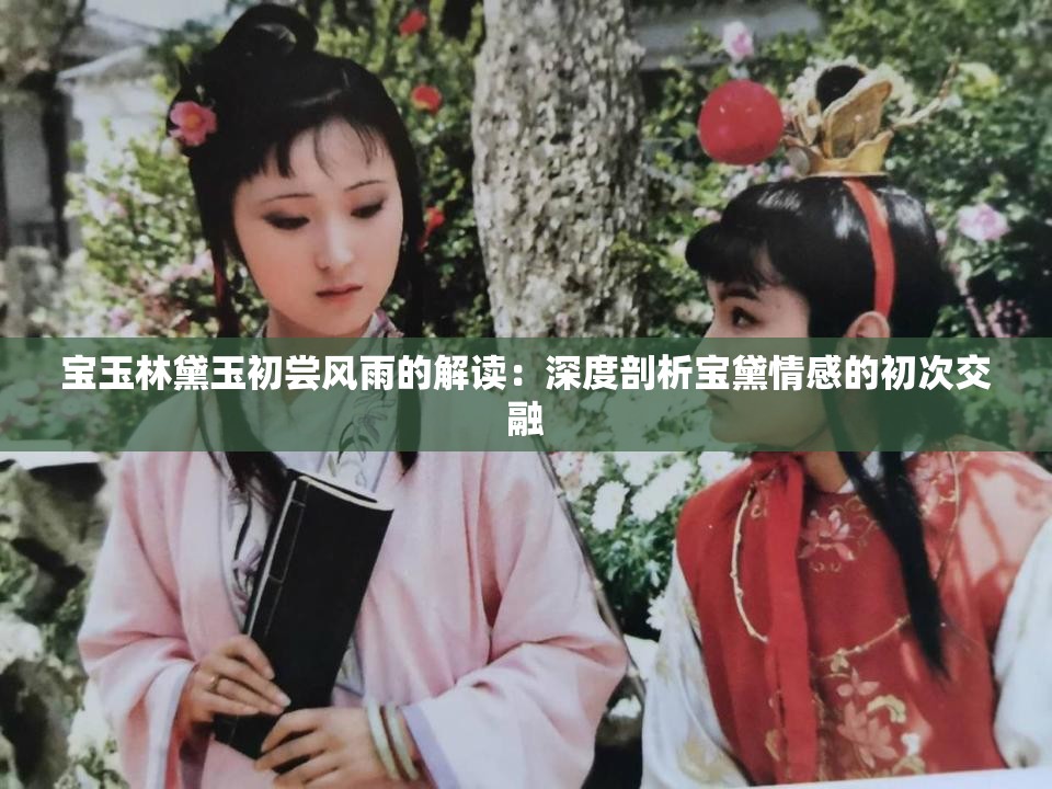 宝玉林黛玉初尝风雨的解读：深度剖析宝黛情感的初次交融