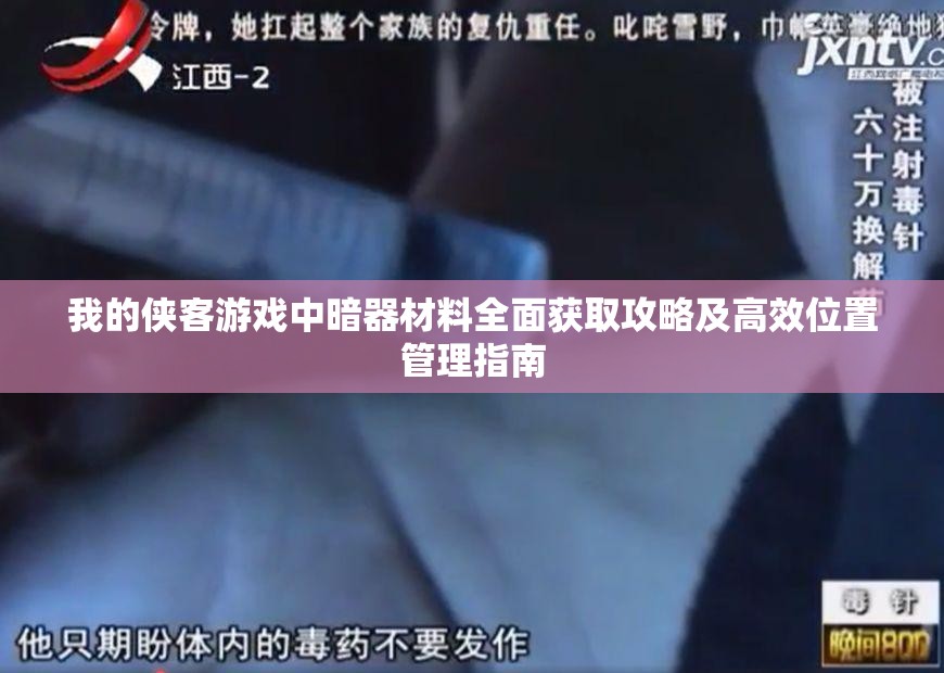 我的侠客游戏中暗器材料全面获取攻略及高效位置管理指南