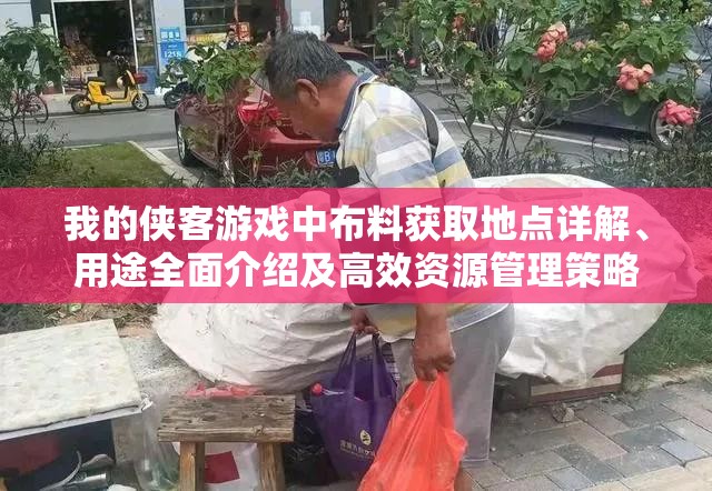 我的侠客游戏中布料获取地点详解、用途全面介绍及高效资源管理策略