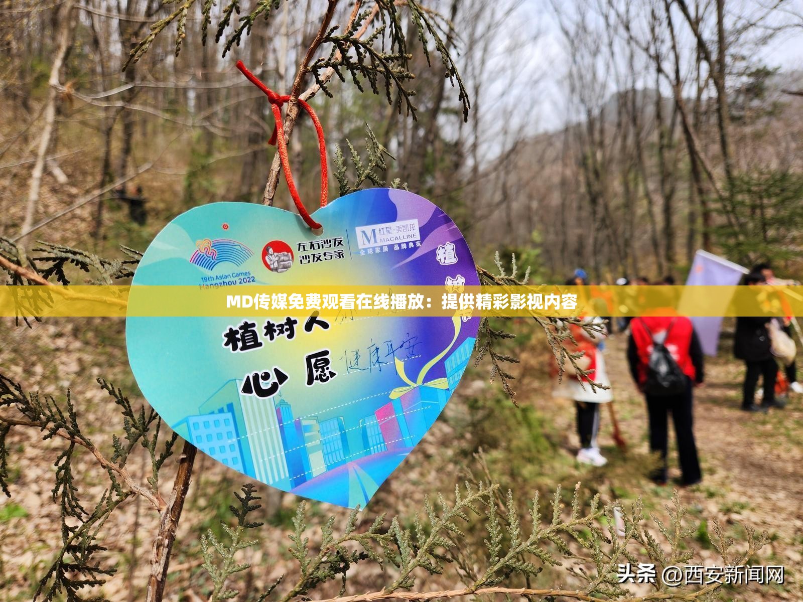 MD传媒免费观看在线播放：提供精彩影视内容