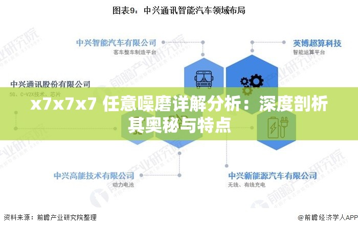 x7x7x7 任意噪磨详解分析：深度剖析其奥秘与特点