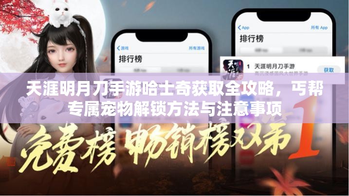 天涯明月刀手游哈士奇获取全攻略，丐帮专属宠物解锁方法与注意事项