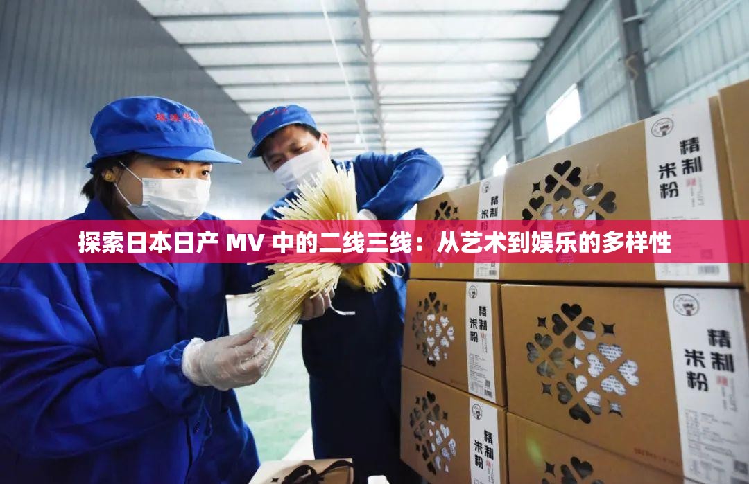 探索日本日产 MV 中的二线三线：从艺术到娱乐的多样性