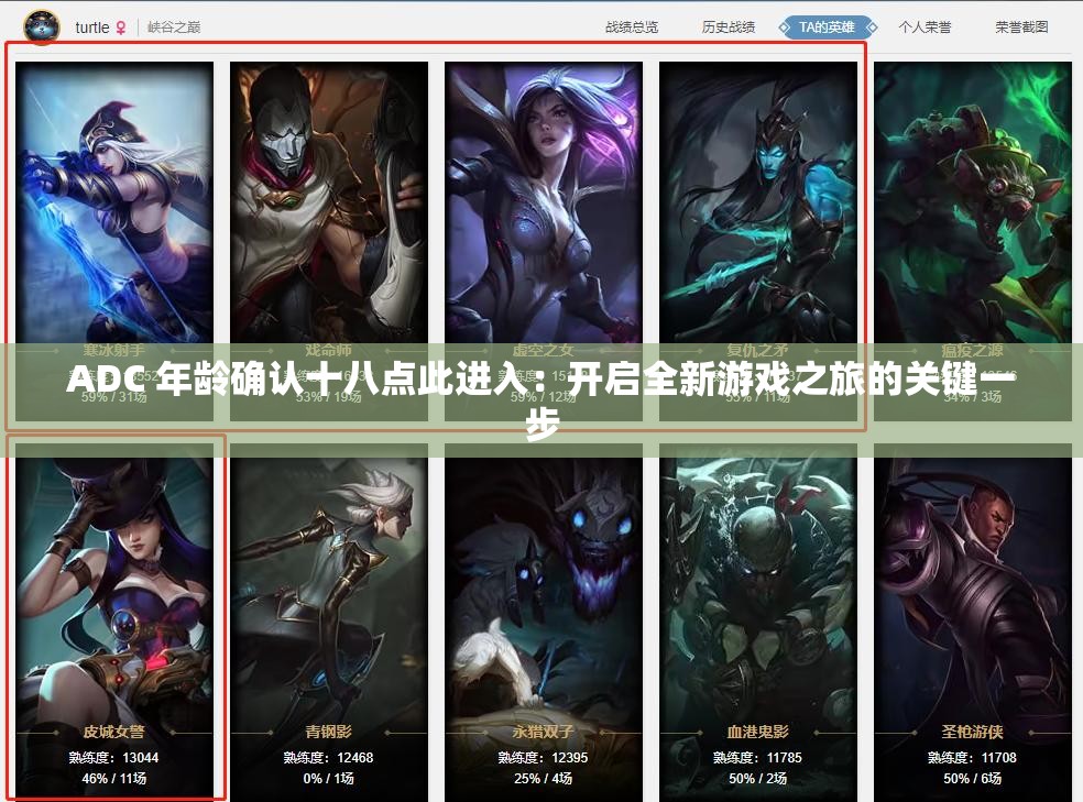 ADC 年龄确认十八点此进入：开启全新游戏之旅的关键一步