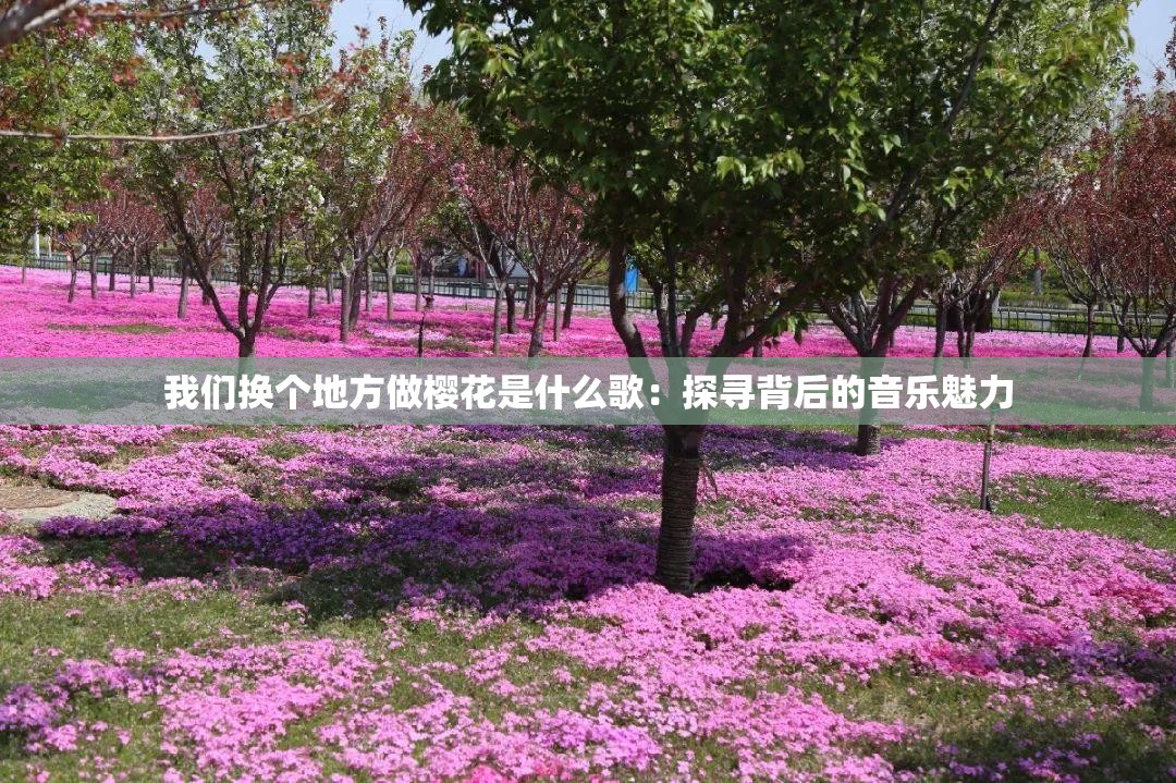 我们换个地方做樱花是什么歌：探寻背后的音乐魅力