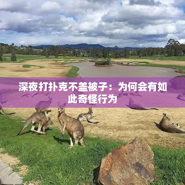 深夜打扑克不盖被子：为何会有如此奇怪行为