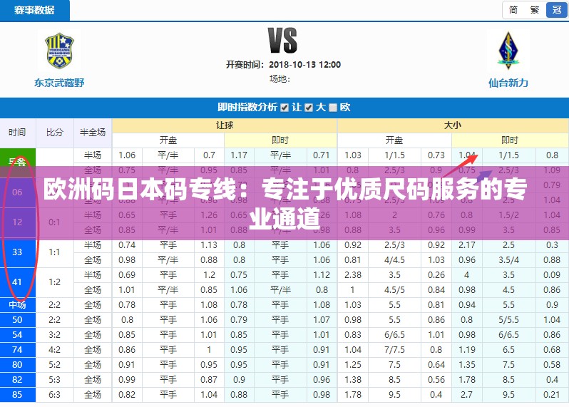 欧洲码日本码专线：专注于优质尺码服务的专业通道