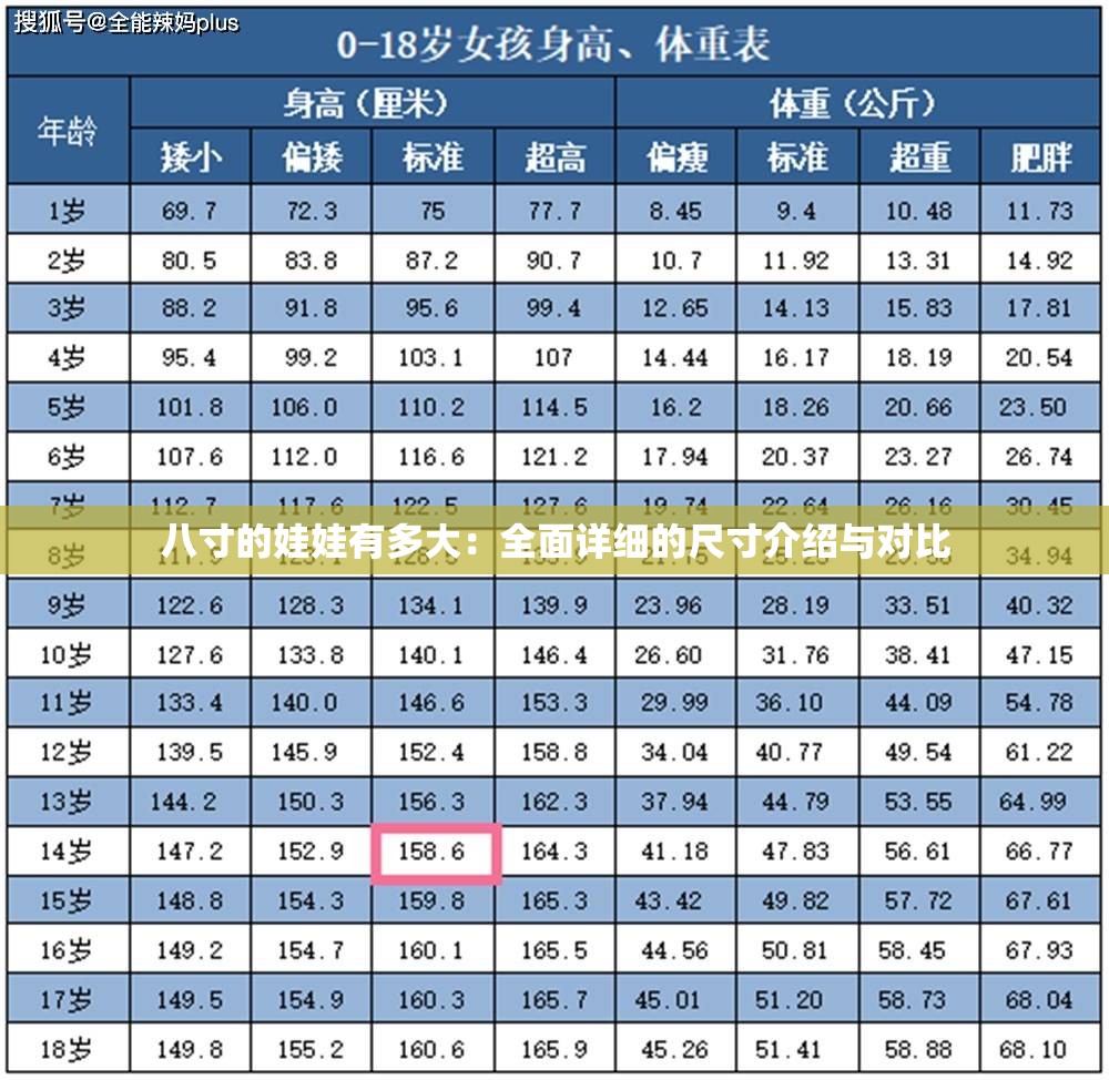 八寸的娃娃有多大：全面详细的尺寸介绍与对比
