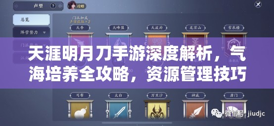 天涯明月刀手游深度解析，气海培养全攻略，资源管理技巧与高效利用策略以实现价值最大化