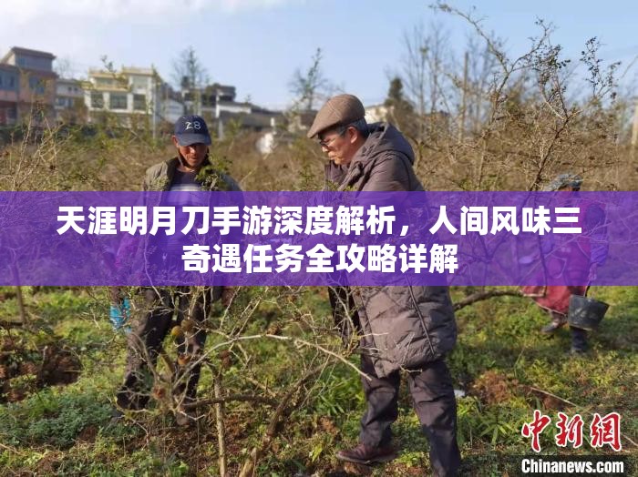 天涯明月刀手游深度解析，人间风味三奇遇任务全攻略详解