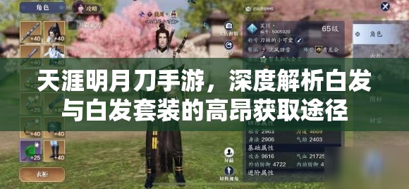 天涯明月刀手游，深度解析白发与白发套装的高昂获取途径
