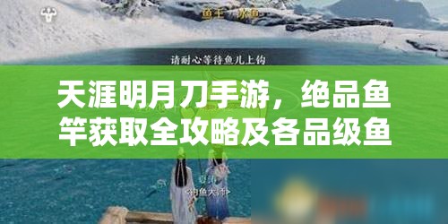 天涯明月刀手游，绝品鱼竿获取全攻略及各品级鱼竿资源管理技巧