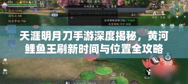 天涯明月刀手游深度揭秘，黄河鲤鱼王刷新时间与位置全攻略