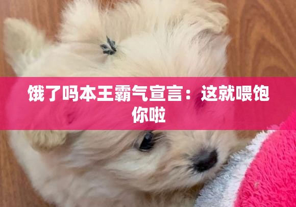 饿了吗本王霸气宣言：这就喂饱你啦