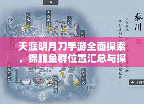 天涯明月刀手游全面探索，锦鲤鱼群位置汇总与探秘大揭秘