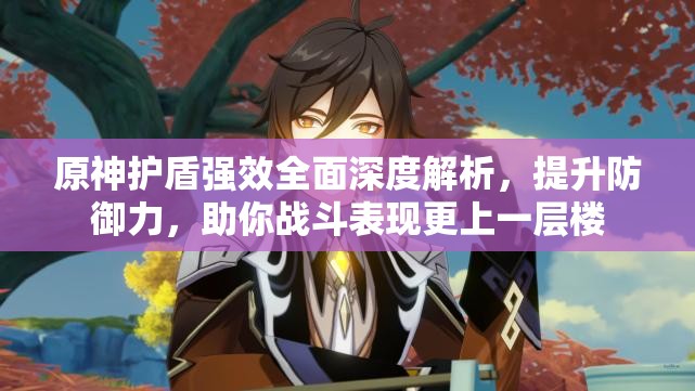 原神护盾强效全面深度解析，提升防御力，助你战斗表现更上一层楼