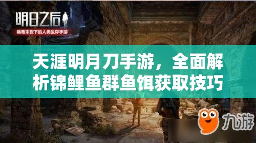 天涯明月刀手游，全面解析锦鲤鱼群鱼饵获取技巧与高效钓鱼攻略