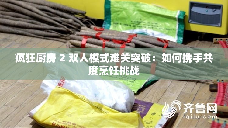 疯狂厨房 2 双人模式难关突破：如何携手共度烹饪挑战