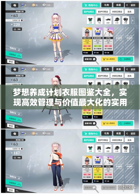 梦想养成计划衣服图鉴大全，实现高效管理与价值最大化的实用指南