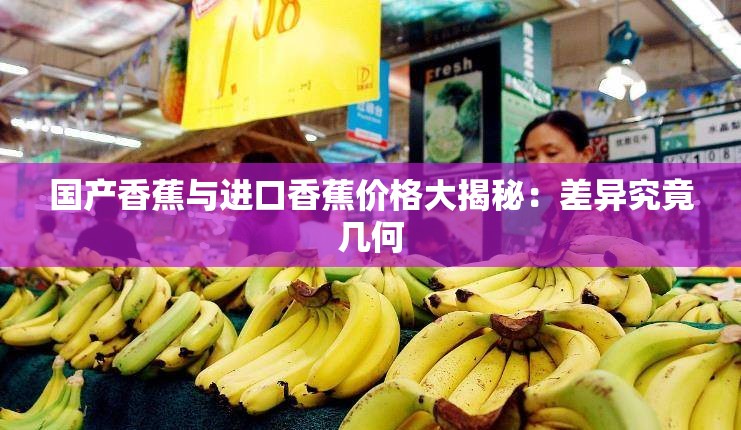 国产香蕉与进口香蕉价格大揭秘：差异究竟几何