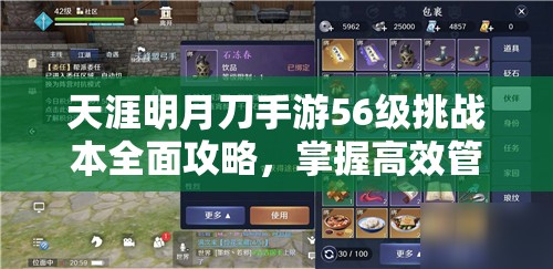 天涯明月刀手游56级挑战本全面攻略，掌握高效管理与资源利用的艺术