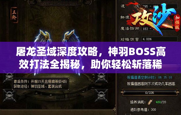 屠龙圣域深度攻略，神羽BOSS高效打法全揭秘，助你轻松斩落稀有羽翼