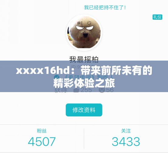 xxxx16hd：带来前所未有的精彩体验之旅